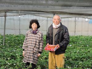 熊本県いちご農家